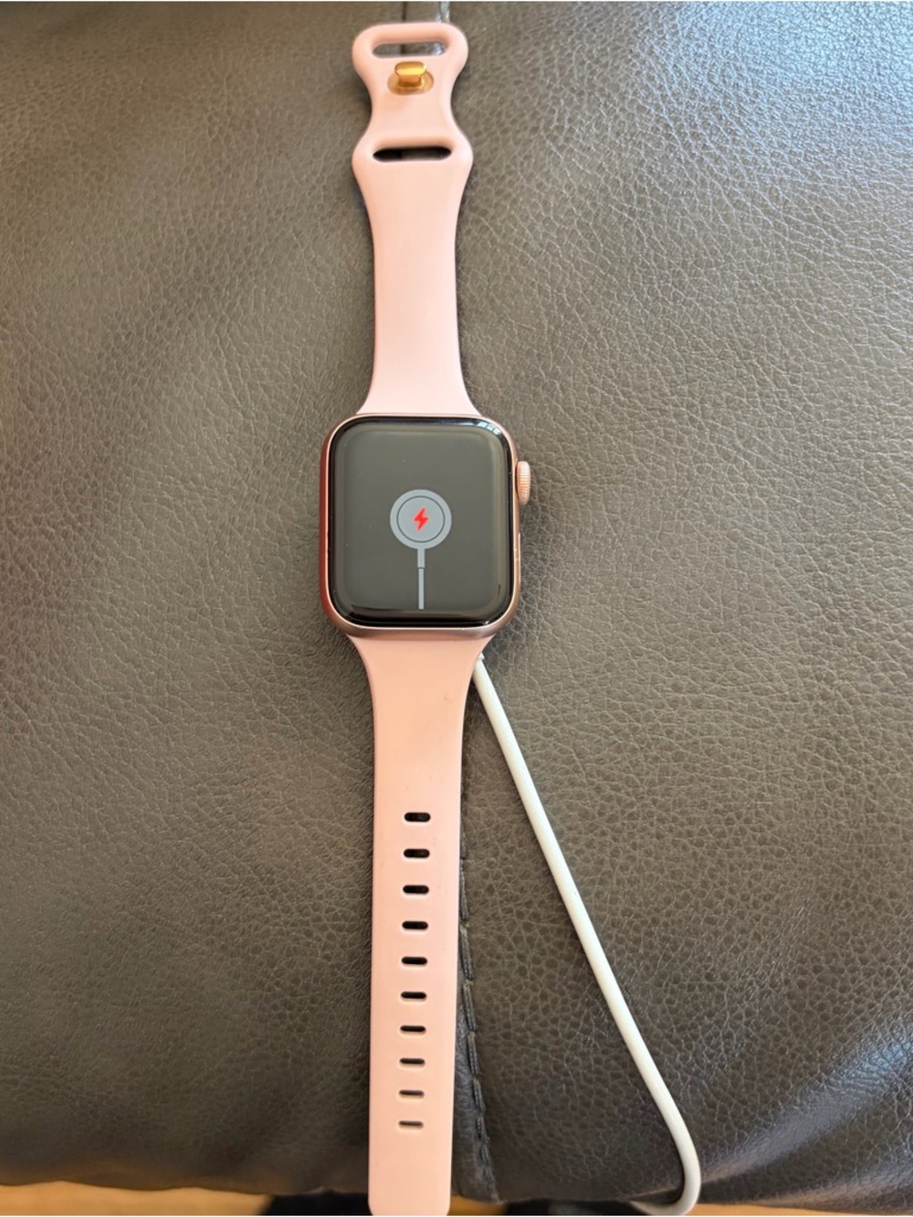 Apple Watch SE Light Pink Sport Band